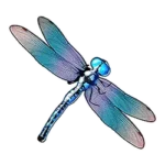 Dragonfly Symbolen in Big Bass Bonanza